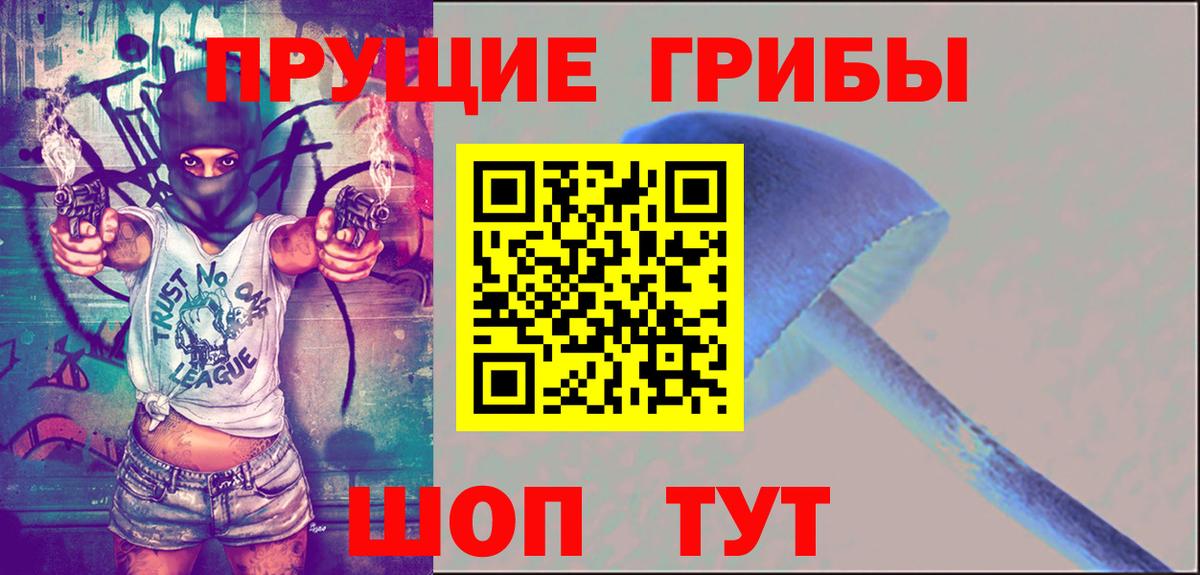 Торжок  Псилоцибиновые грибы мухоморы  Галлюциногенные грибы Psilocybine cubensis  Вход с VPN 